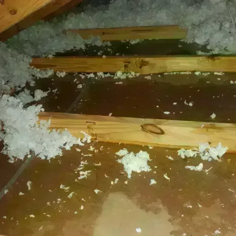 Attic Water Damage in Madison Lake, MN