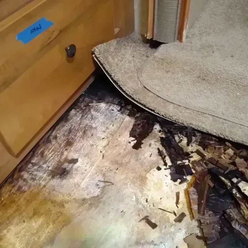 Wood Floor Water Damage in Madison Lake, MN